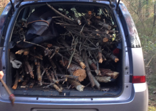 car-full-of-wood