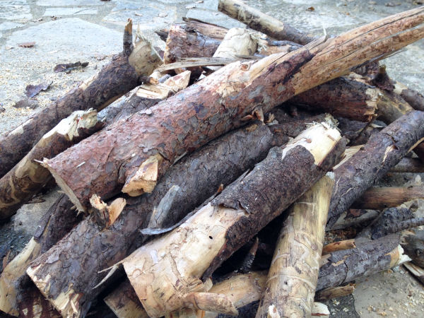 firewood
