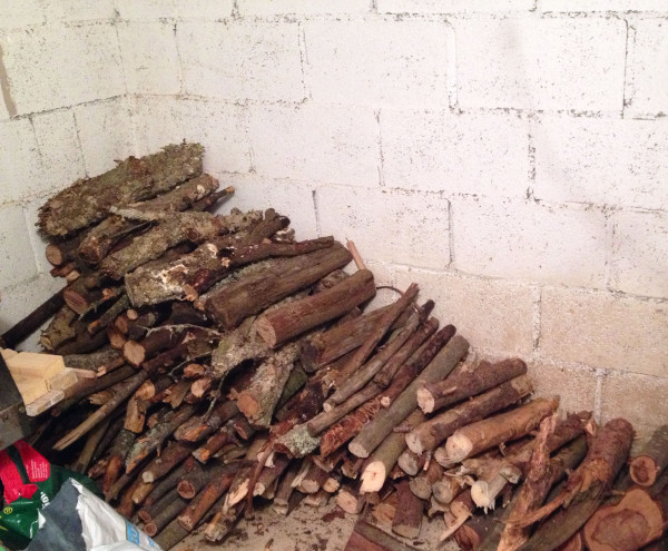 depleted-wood-pile